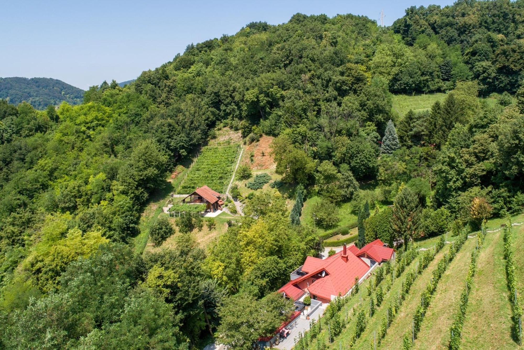 Villa Zagorska Bajka Krapina Esterno foto